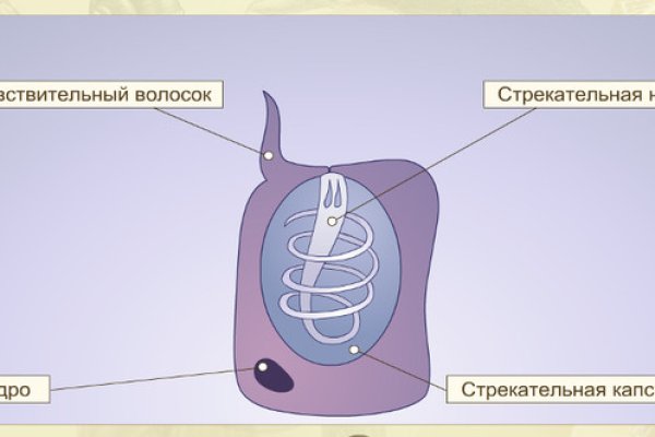 Через какой браузер заходить на кракен