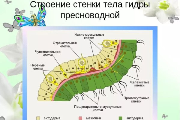 Кракен 16 вход