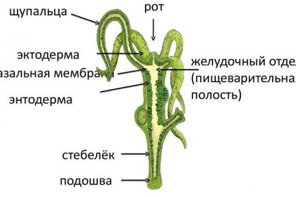 Как зайти на площадку кракен