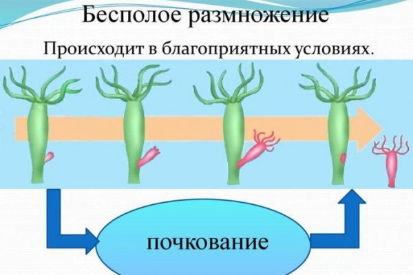 Ссылки на кракен маркетплейс тг